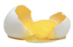 عند وضع بيضة مسلوقة ساخنة في كوب من الماء البارد. ماذا يحدث لدرجة حرارة الماء والبيضة؟