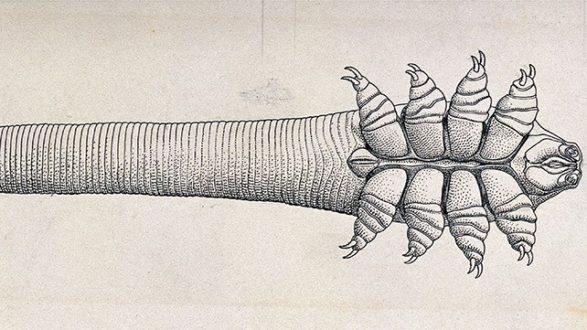 %D9%8A%D8%B381-587x330.jpg
